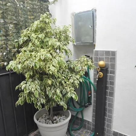 Bed & Breakfast Brenta 12 Messina